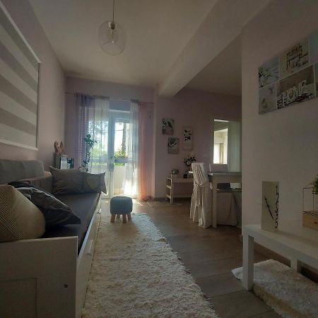 La Pineta - Delightful Small Apartment Near The City Center L'Aquila Eksteriør billede
