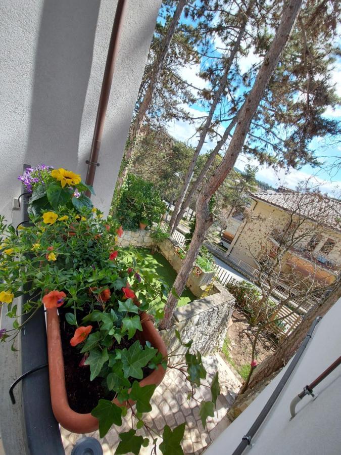 La Pineta - Delightful Small Apartment Near The City Center L'Aquila Eksteriør billede