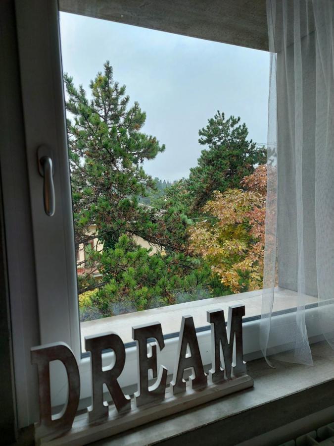 La Pineta - Delightful Small Apartment Near The City Center L'Aquila Eksteriør billede